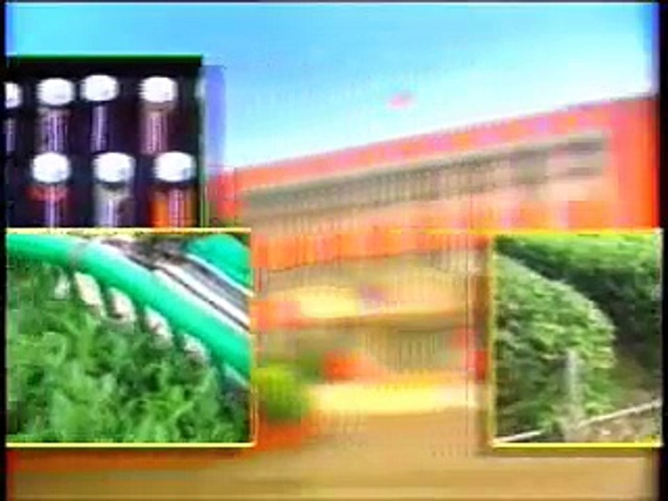 An introduction to the Tea industry in Taiwan Part I of II