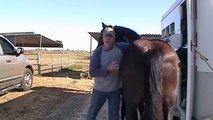 Horse Scaring- Sacking Out & Fear- Messing with other Horses- Pregnant Mare- Rick Gore Horsemanship
