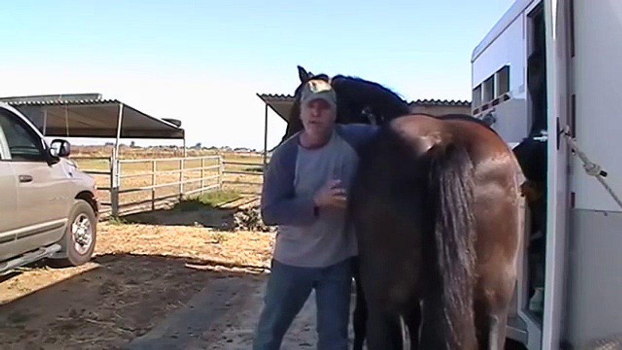 Horse Scaring- Sacking Out & Fear- Messing with other Horses- Pregnant Mare- Rick Gore Horsemanship
