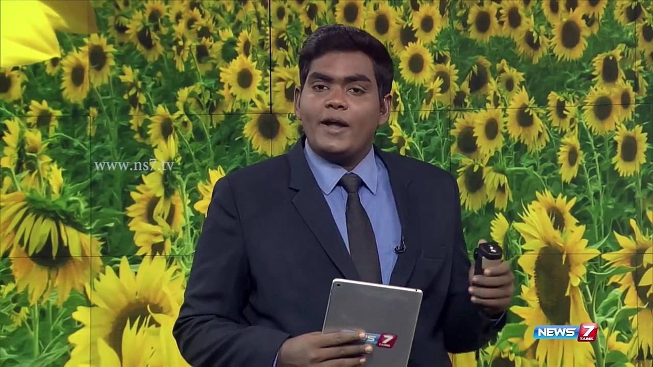 American tourist killed in South Africa lion attack   World   News7 Tamil