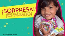 SHOPKINS FASHION TAGS Y COLLECTOR CARDS, MLP ERASERS, MINION CARDS. GRACIAS BULLS I TOYS