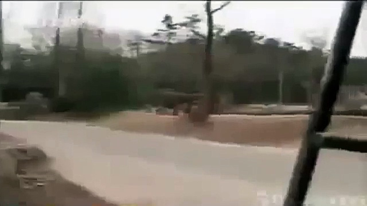 LION ATTACK