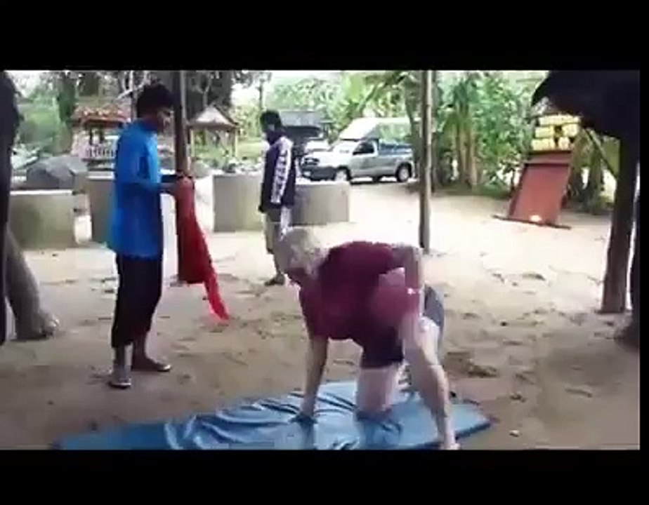 pervert Elephants