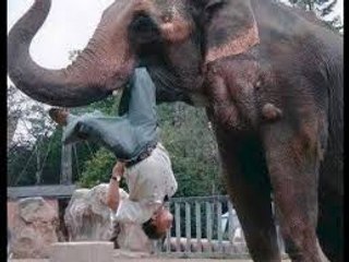 SUCH a dangrouse shocking news!!The-elephant-killed-a-man-animal-Attacks-on-Human OMG