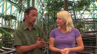 Totally Wild's Ranger Stacey visits Cairns ZOOm & Wildlife Dome