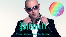 Pitbull Feat Lil Jon - Culo (Sharon Apple Remix)