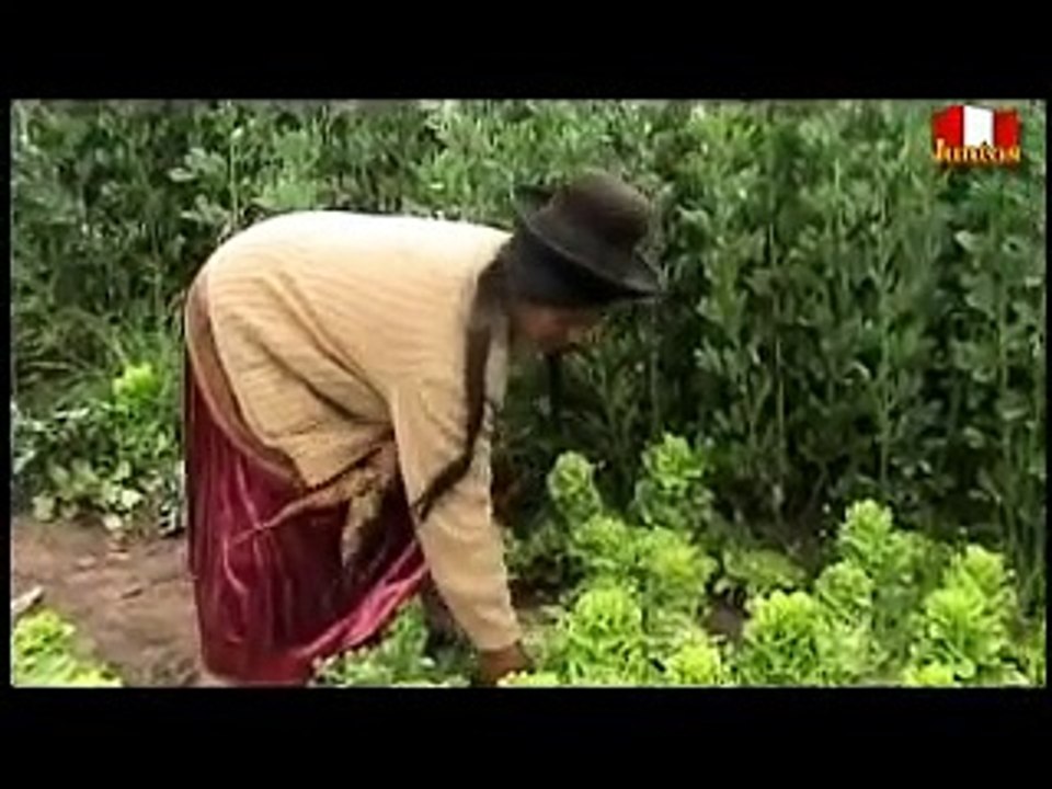 Biohuerto Familiar - Programa JUNTOS