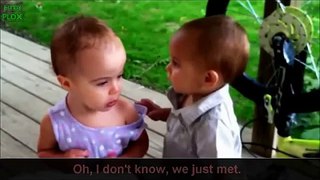 Baby Blind Date Subtitles Translation (Animal Funny Video 2013)