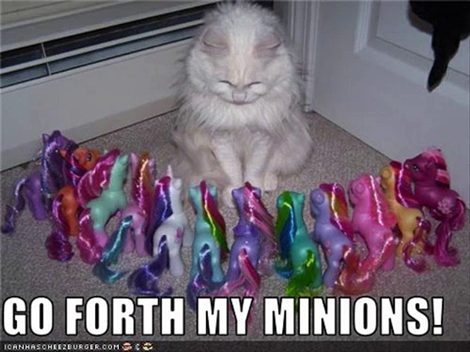 funny pics of sonic,mlp,and cats X3