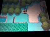 Pokemon soul silver/heart gold lavados fangen