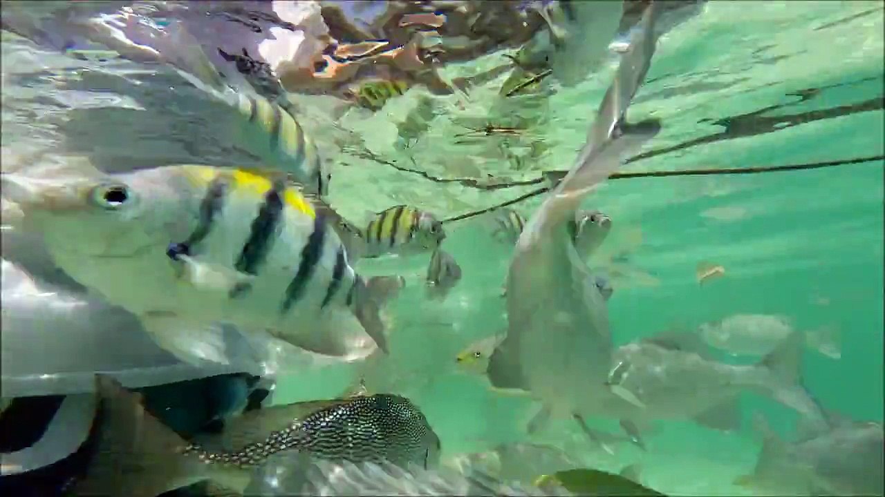 Pulau Payar Marine Park, Langkawi Malaysia