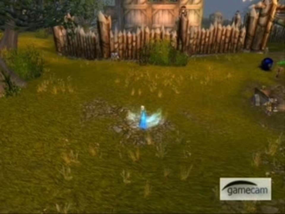 Bloodmagi mage area atacks