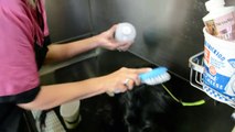 Border Collie Mix Bath