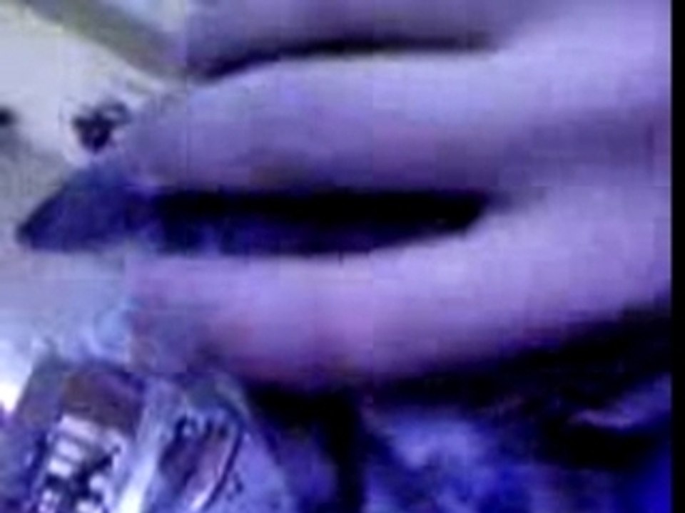 le chat qui apelle sa mère!!!