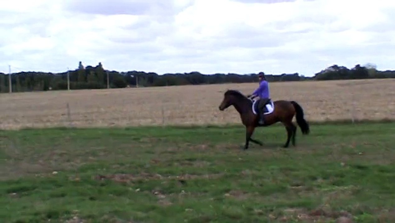 sautants, Volt, sept 2015