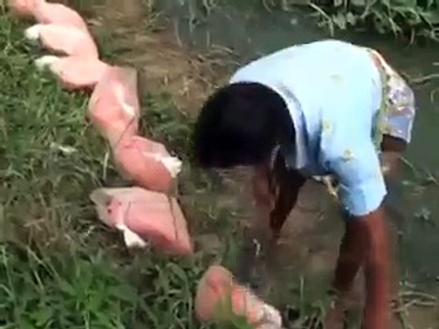 Посмотрите и нажимите класс