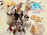 Final Fantasy XIV: A Realm reborn, Tour de Eorzea