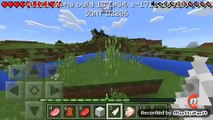 Nueva serie de minecraft pe episodio #1