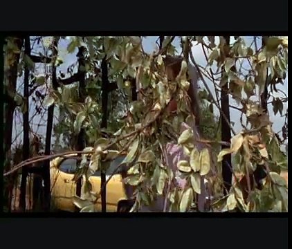 Edward mani di forbice (Edward Scissorhands) - The Ice Dance