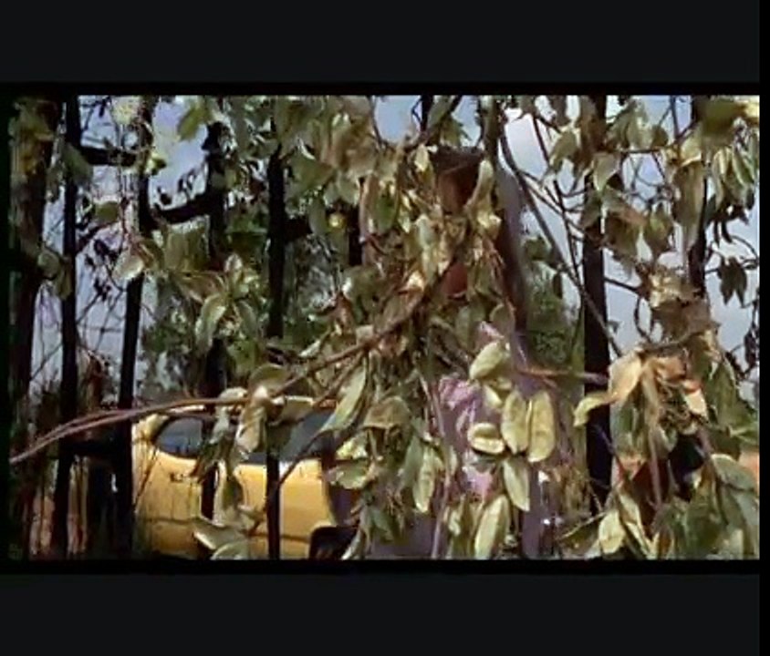 Edward mani di forbice (Edward Scissorhands) - The Ice Dance