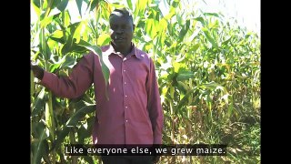 WilliamKamkwamba: How I harnessed the wind (Subtitles)