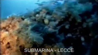 RITROVAMENTO DEL  SOMMERGIBILE OCEANICO 