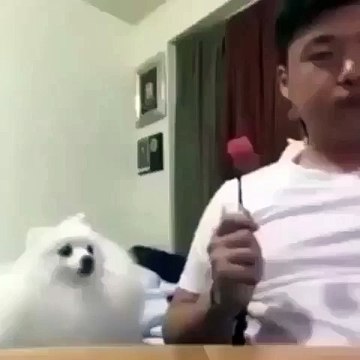 Motivation Nation Ever feel you're being watched Keep an eye out for those who want what u got. Strange Creatures ..Hilarious Animals