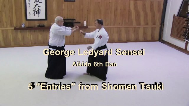 Aikido - George Ledyard - 5 Entries from Tsuki Attack - Aikido Atemi Waza