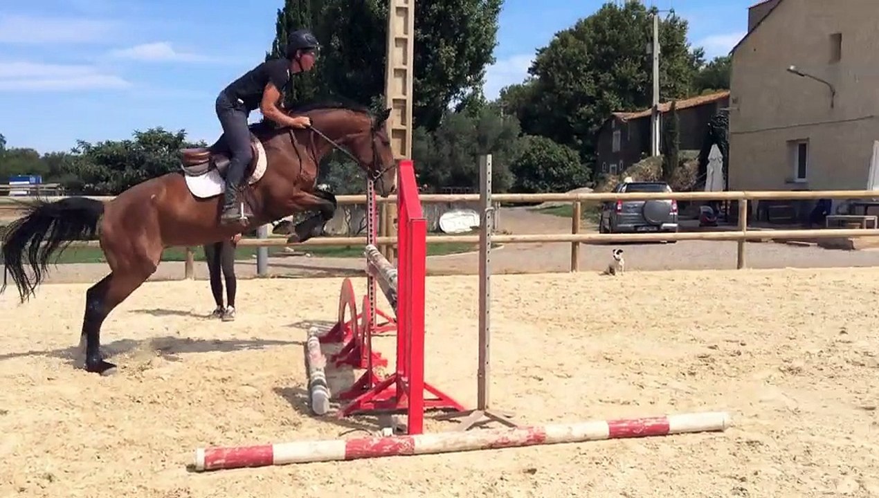 LORD Z X HEUREKA DE LA LOGE 7ans