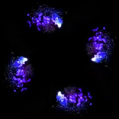 Hologram Technology   Holho Green Spark