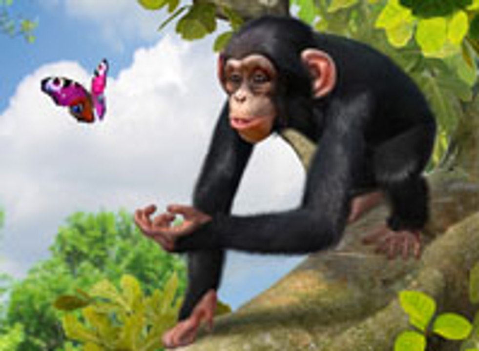 Zoo Tycoon