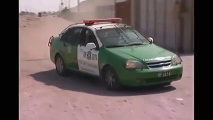 2 year old Chilean baby saved by breastfeeding on dog