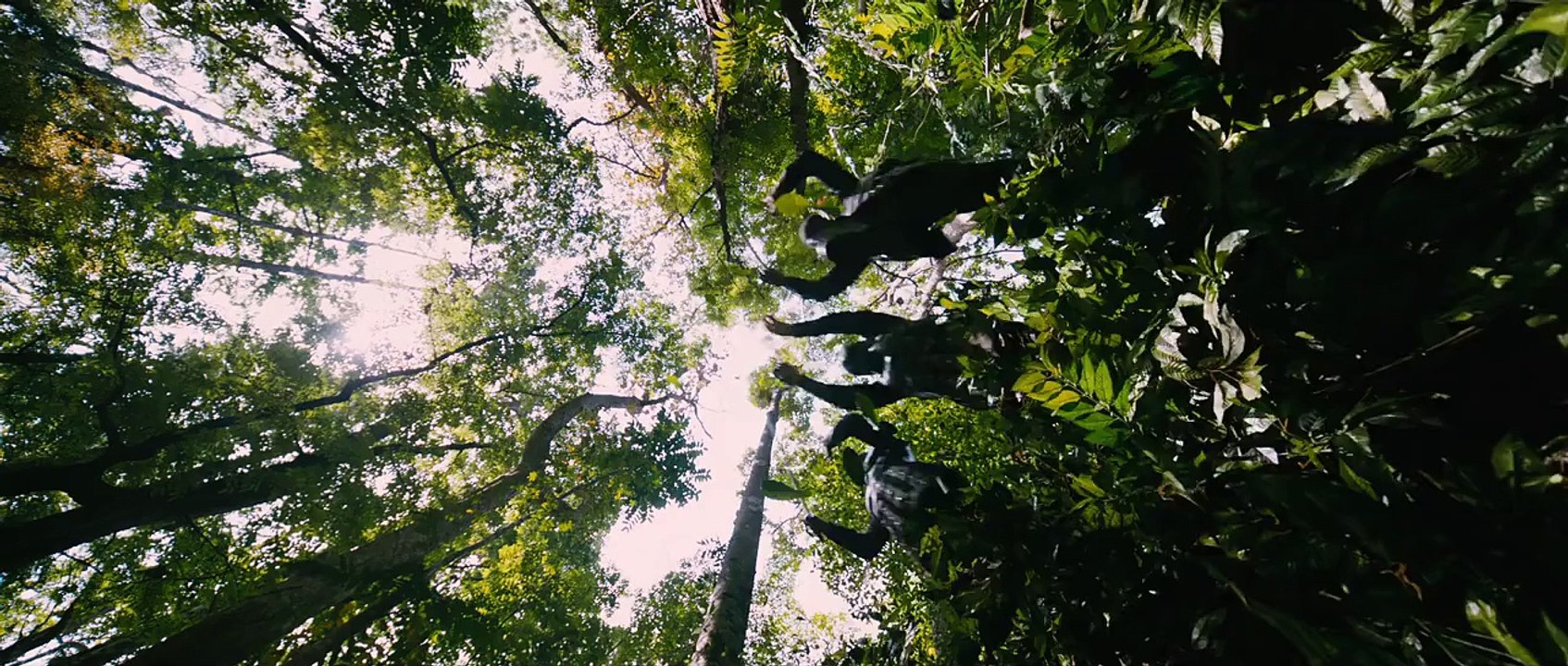 Puli - Official Trailer  Vijay, Sridevi, Sudeep, Shruti Haasan, Hansika Motwani (HD)