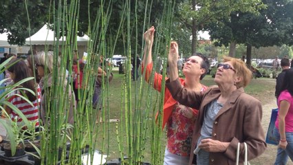 La folie des plantes au grand blottereau