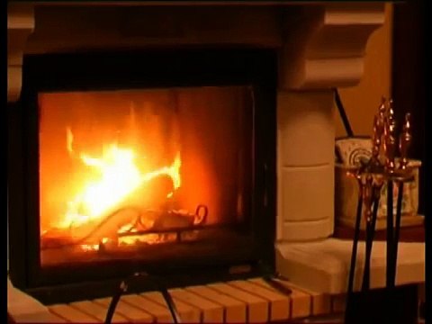 В чем смысл жизни! Раскажет Вадим Зеланд!