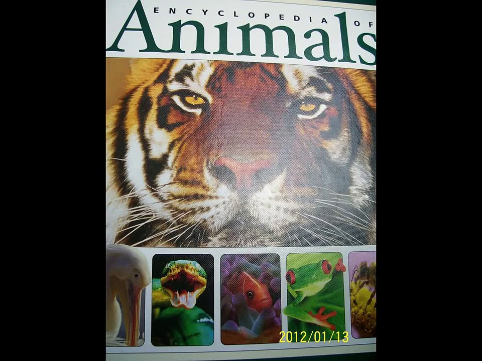 National Geographic Encyclopedia of Animals book video Dailymotion
