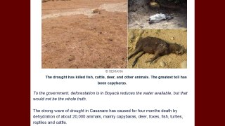 Drought kills 20K Animals in Casanare, Colombia