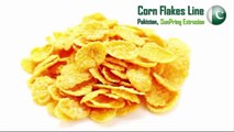Corn Flakes Manufacturing & Making | SunPring®