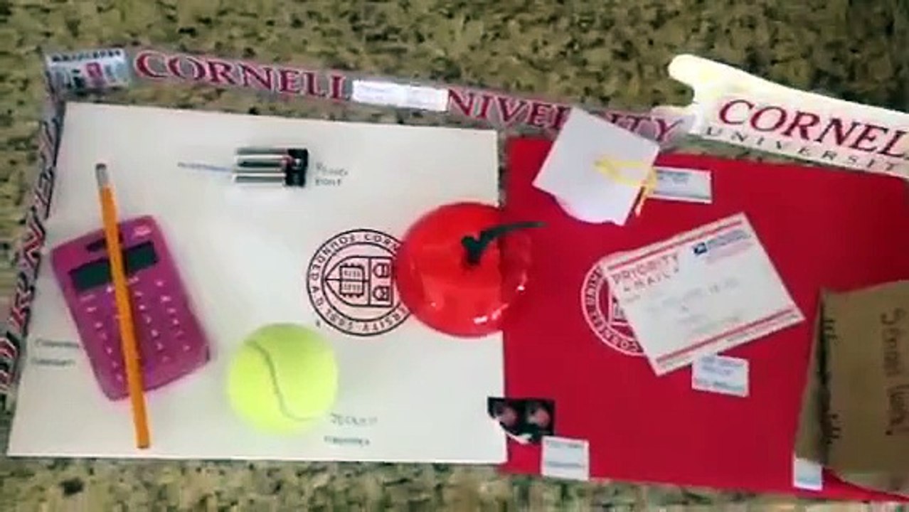 Anima Cell Model