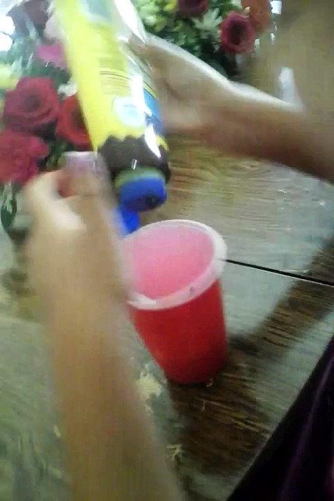 Chocolate and straberry ice cream