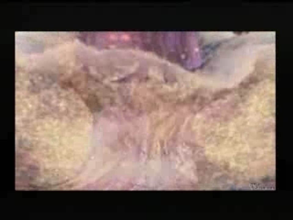 Final Fantasy - Jeanne Cheral - Bukovski