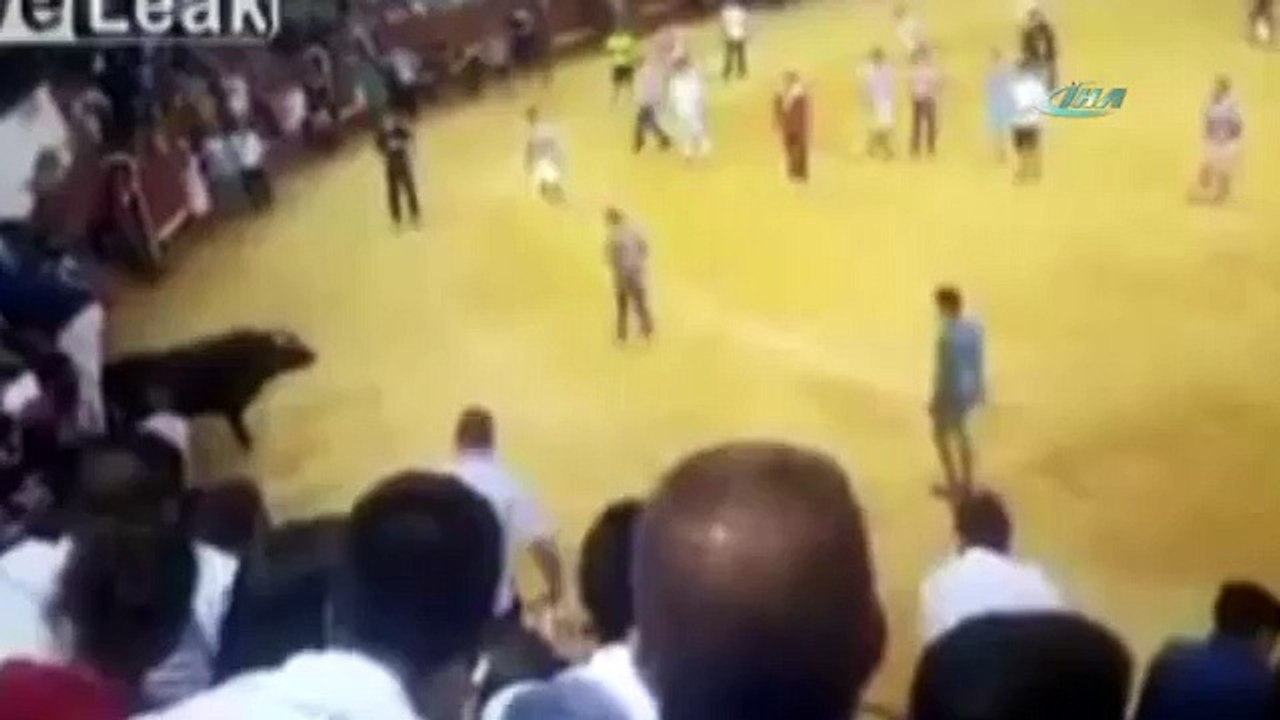 Boğayla şaka olmaz !