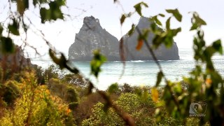 Swell épico em Noronha por Surfguru TV.