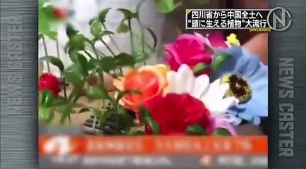 ビートたけし 面白ニュースピックアップ 150905 朝鮮半島からの脅威は政治・軍事だけではなかった! ＋最初と最後のニュースが笑えます omosiro news