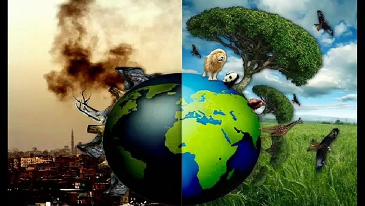 Take back the Earth by John Trudell.