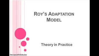 Roy's Adaptation Model: Theory and Practice
