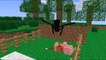 Monster School׃ Pig Riding   Minecraft Animation