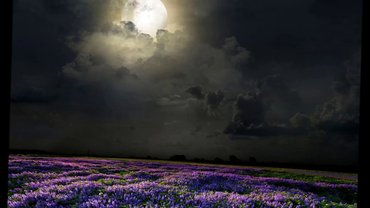 Moon Night  instrumental Arabic Music موسيقى عازف الليل