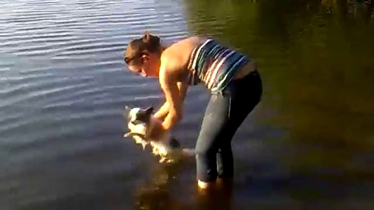 Cosmo hates swimming.