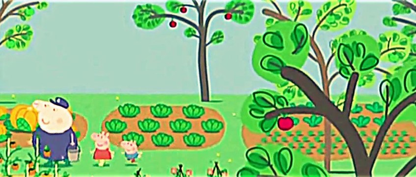 Peppa Pig Peppa Pig S4x24 Le puit a souhaits